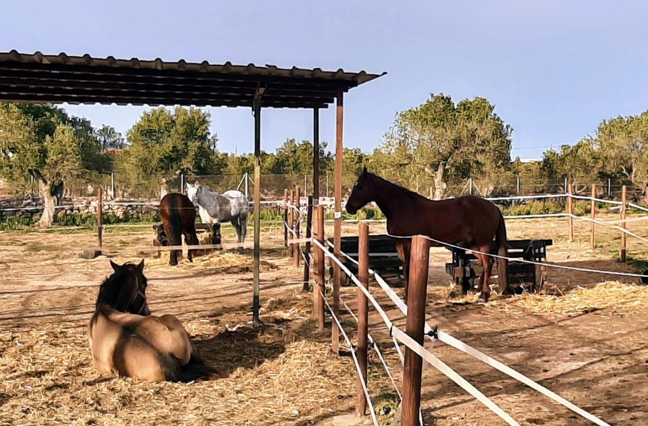 Chalet Vacacional Con Piscina Privada Y Barbacoa Tarragona Zewnętrze zdjęcie
